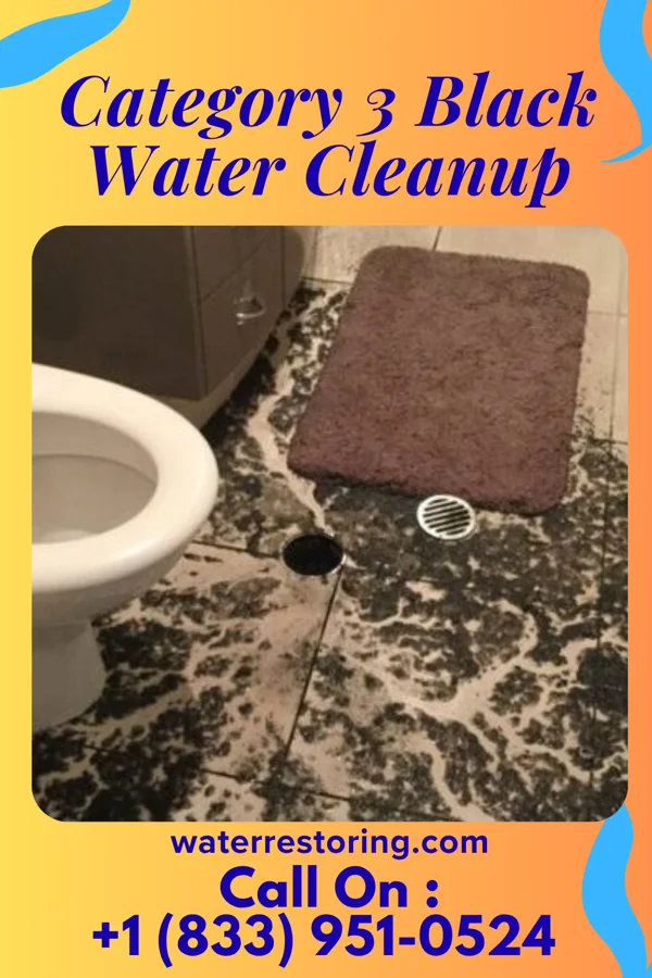 Category 3 Black Water Cleanup in Brunswick, GA