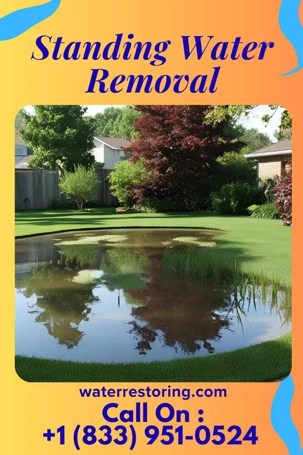 Standing Water Removal in Brunswick, GA